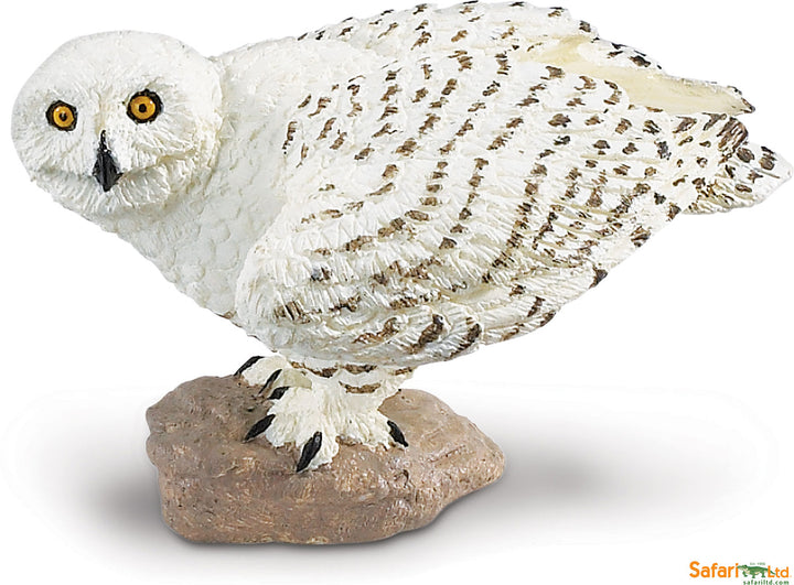 Bird Snowy Owl