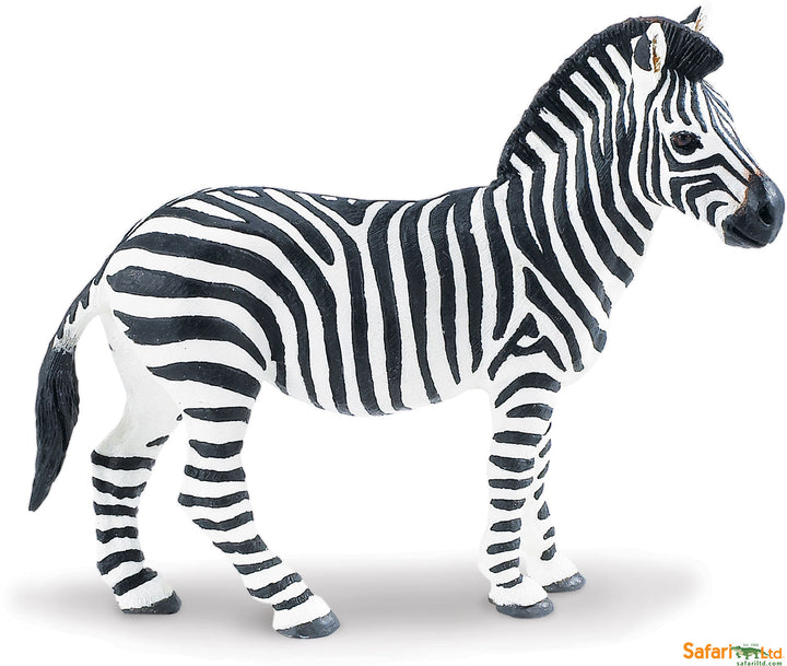 Safari Wild Zebra Adult