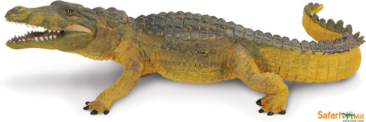 Safari Wild Crocodile