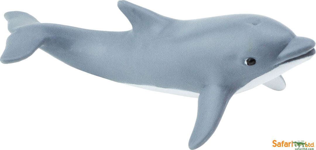 Sealife Dolphin Calf