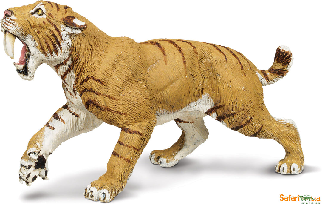 Dinosaur Smilodon (Sabertooth Tiger)