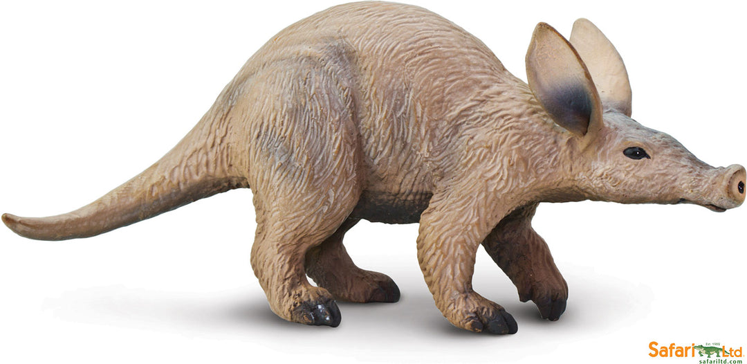 Wild: Aardvark