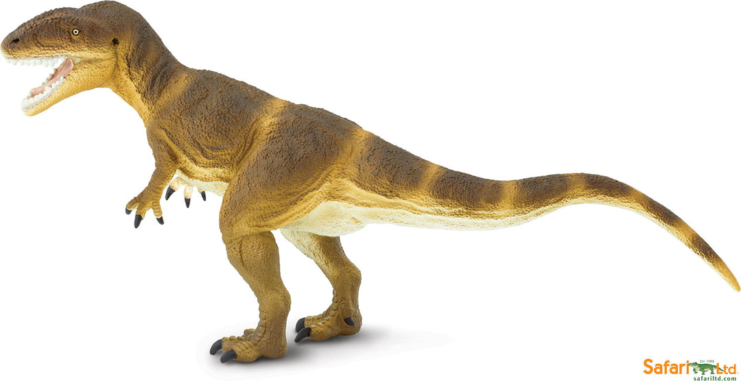 Dinosaur: Carcharodontosaurus