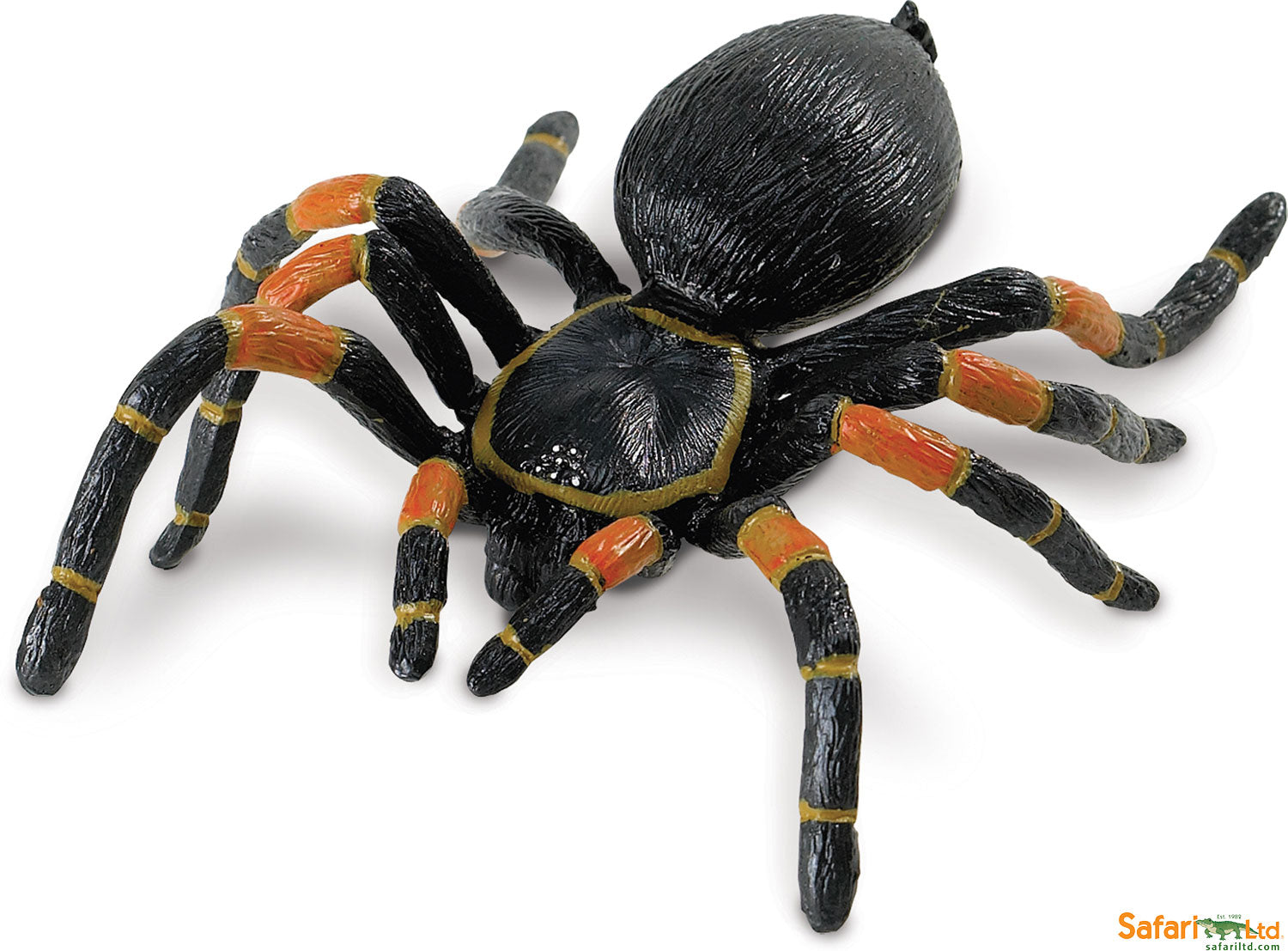 Hidden Kingdom Insects Orange-kneed Tarantula – Stevenson's Toys