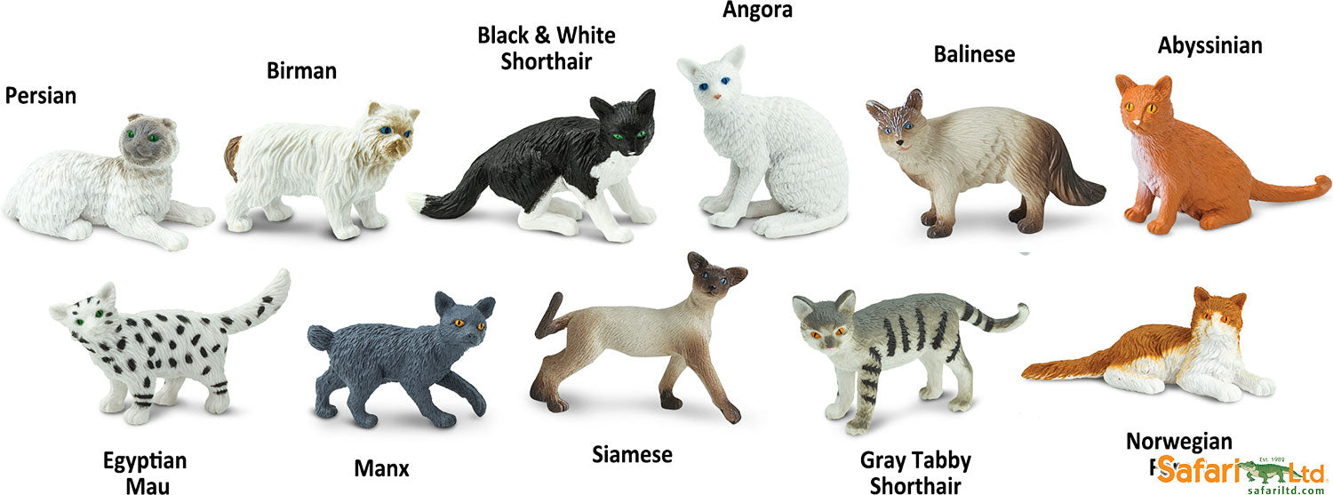 Toob Domestic Cats – Stevenson's Toys & Games
