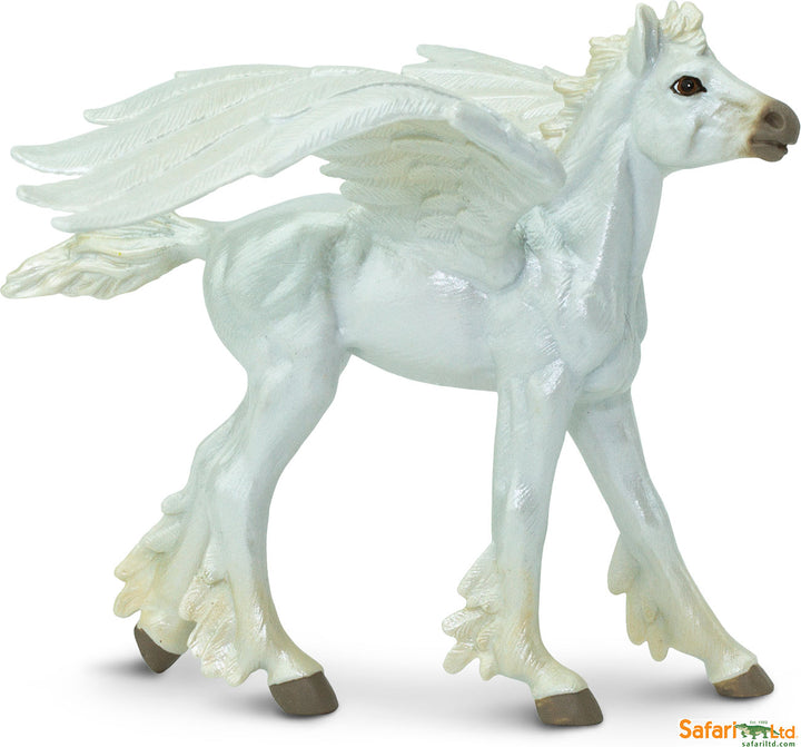 Fantasy: Baby Pegasus