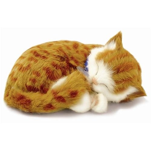 Perfect Petzzz Orange Tabby Cat