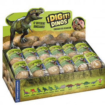I Dig it Dinos! - Dino Egg Individual Unit