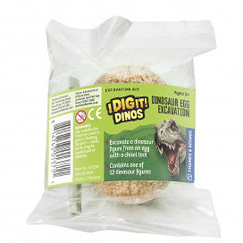 I Dig it Dinos! - Dino Egg Individual Unit