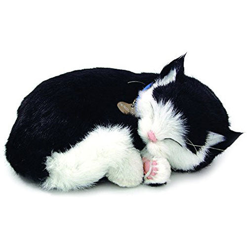 ふわふわkota32♡ Perfect Petzzz Black & White Shorthair Cat – Stevenson's Toys & Games